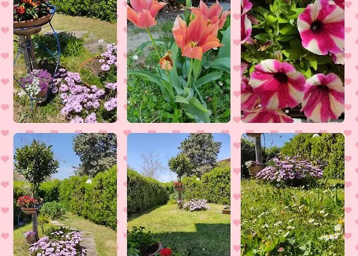 Il Villino Del Sorriso Holiday home